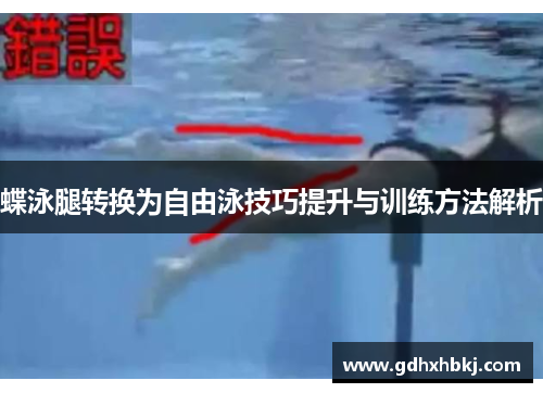 蝶泳腿转换为自由泳技巧提升与训练方法解析